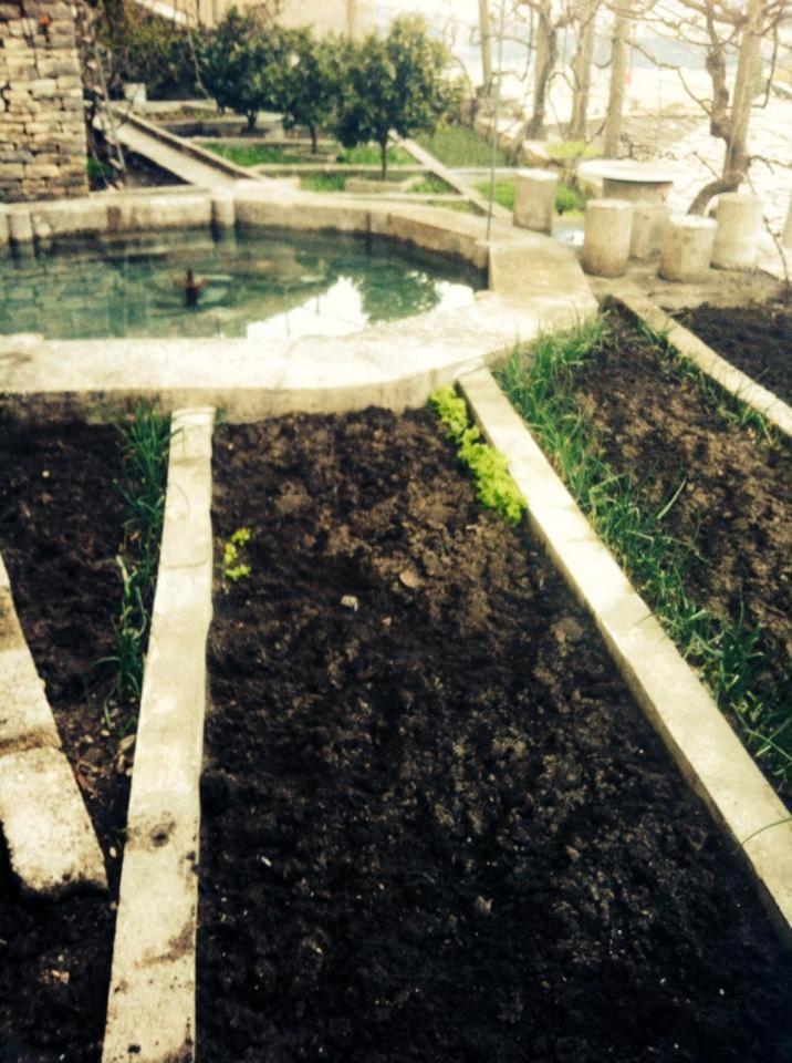 Guesthouse Celo Gjirokastër 外观 照片